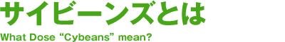 サイビーンズとは What Dose Cybeans mean?