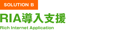 SOLUTION B RIA導入支援