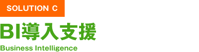 SOLUTION C BI導入支援